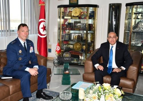 وزير الدفاع يلتقي قائد القيادة العسكرية الأمريكية لافريقيا