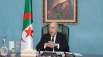 الجزائر: تبّون يأمر بفتح تحقيق في حرائق الغابات التي اجتاحت عدّة ولايات