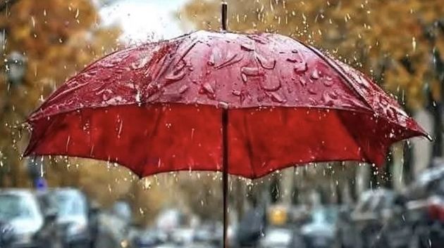 عامر بحبة: 'منخفضات جوّية مصحوبة بأمطار خلال الأيام المقبلة' (فيديو)