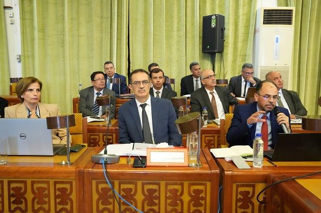 وزير الفلاحة: صابة قياسية متوقعة للتمور مقابل تراجع للقوارص