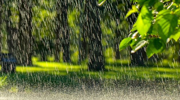 كميات الأمطار المسجّلة بعدد من مناطق البلاد خلال 24 ساعة