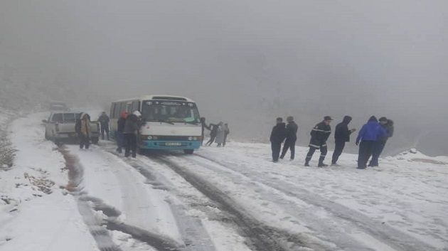 الجزائر: إنقاذ 21 شخصا علقوا في الثلوج (صور)
