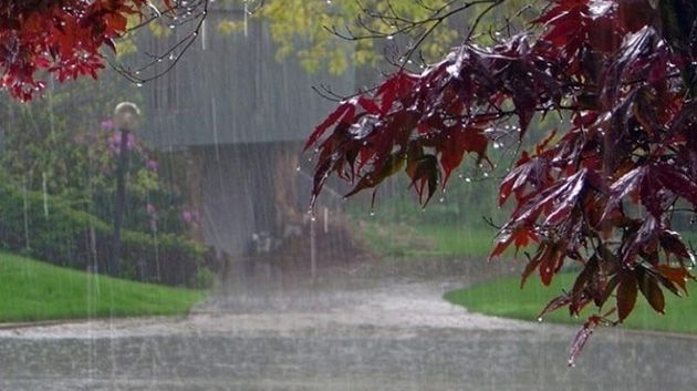 كميات الأمطار المسجّلة خلال الـ24 ساعة الماضية