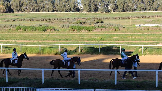 مركض سباق الخيل بقصر السعيد: رفع الحجر الصحي واستئناف السباقات