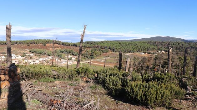 عين دراهم : نحو إحداث منطقة سياحية جديدة بأولاد هلال 