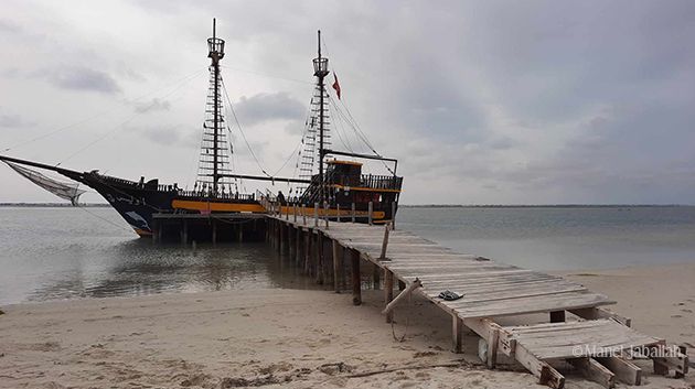 شتاء 2025 /2026: توقعات بتسجيل درجات حرارة أعلى من المعدل الطبيعي