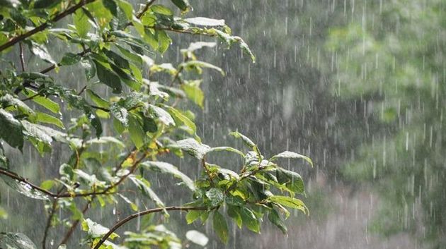 اليوم: أمطار رعدية وغزيرة بهذه المناطق