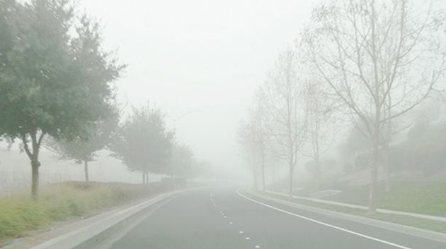 ضباب محلّي كثيف صباح اليوم