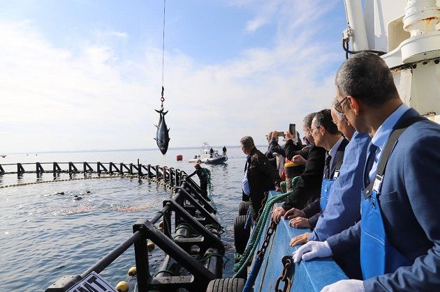 وزير الفلاحة يطلع على نشاط تربية التنّ الأحمر في هرقلة  (صور)