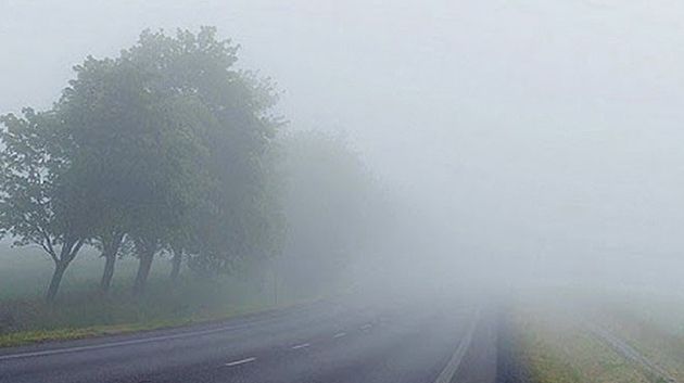 اليوم: ضباب محلّي مع أمطار ضعيفة