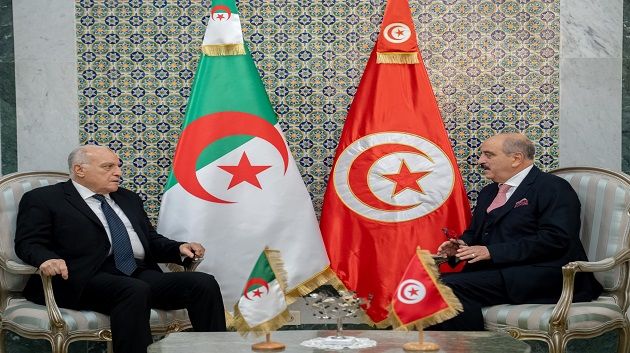 لقاء ثنائي بين وزير الخارجية ونظيره الجزائري