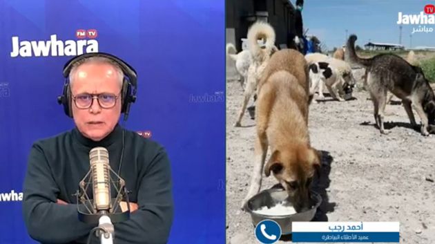 عميد البياطرة: 'نحن ضدّ القنص.. لكن إذا كان الكلب شرساً فلا بديل عن ذلك'