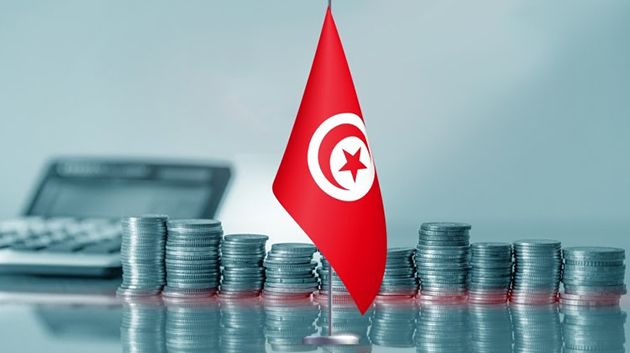 ممثّلة المؤسسة المالية الدولية: 'سنُواصل دعم تونس في مجال الطاقات المتجددة'