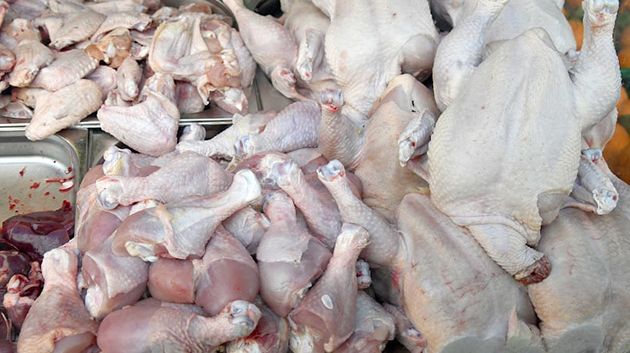 قربة..ضبط نحو 3 أطنان من لحوم الدواجن الفاسدة‎