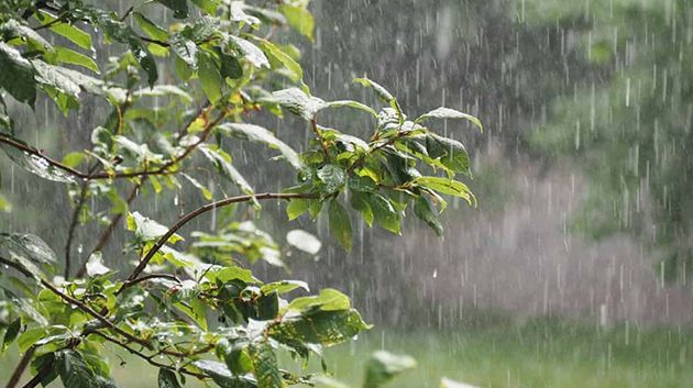 اليوم: أمطار رعدية وغزيرة تشمل هذه الجهات