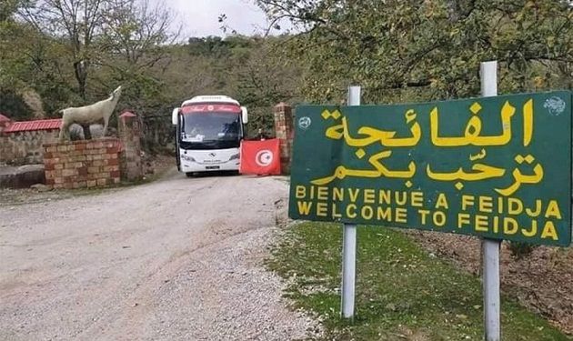 محمية الفايجة.. مركز إيواء مهمل رغم التمويلات التي صرفت