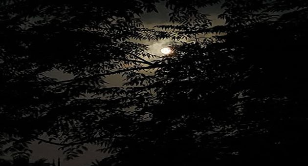 درجات الحرارة هذه الليلة 