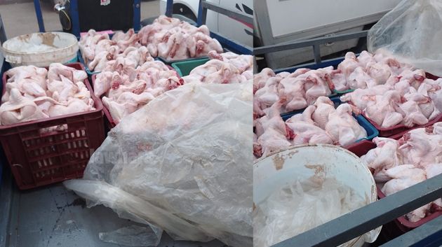 قفصة: حجز كميات من لحوم الدواجن في مخازن عشوائية (صور)