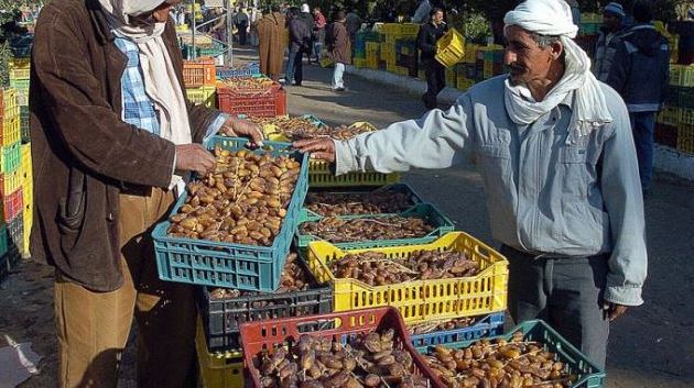 توزر: تركيز فضاء بيع تمور من المنتج إلى المستهلك 