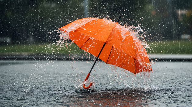 اليوم: أمطار رعدية وغزيرة تشمل هذه المناطق