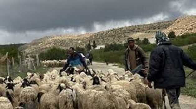 وزارة الفلاحة تدعو الفلاحين والبحارة إلى أخذ الاحتياطات الضرورية