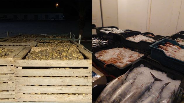 سوسة: حجز أطنان من البطاطا وكميات من الأسماك المجمدة