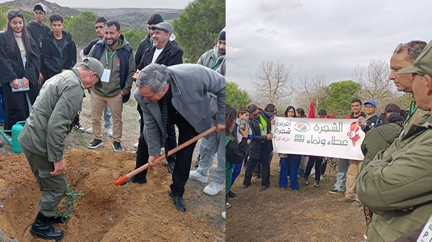 دار شعبان الفهري: غراسة حوالي 400 شتلة من أشجار الخروب بغابة 'زامو'