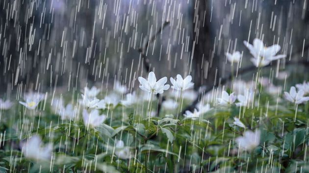 المعهد الوطني للرصد الجوي: معدلات درجات الحرارة وكميات الأمطار المتوقعة خلال الثلاثي الأوّل من سنة 2026