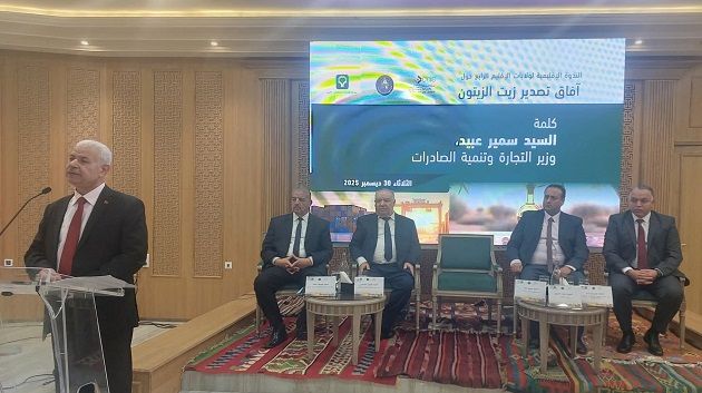 وزير التجارة: 30% فقط من صابة الزيتون تم جنيها 