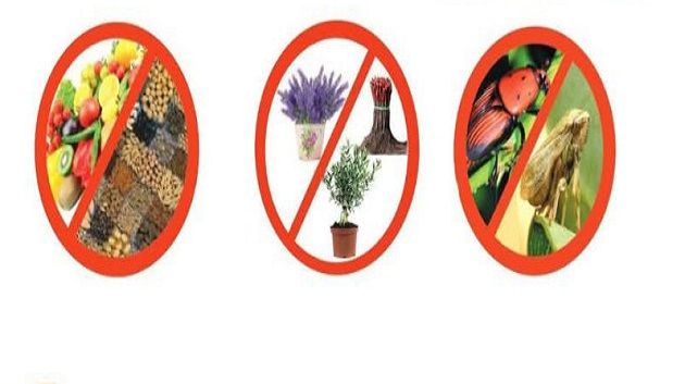 وزارة الفلاحة توصي الوافدين على تونس بعدم جلب النباتات والمنتجات النباتية