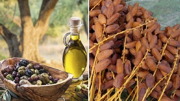 برنامج وطني لترويج زيت الزيتون والتمور في أسواق جديدة وواعدة