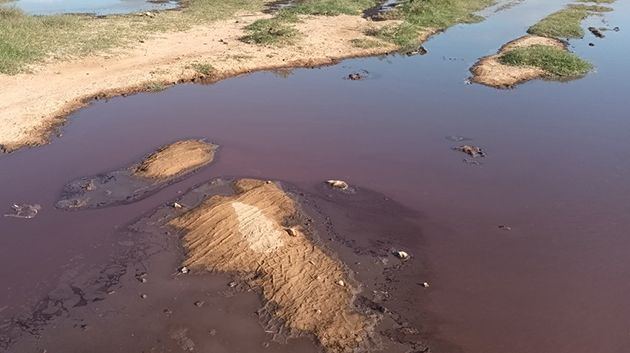 رئيس المجلس المحلّي بقلعة سنان يدعو إلى 'إحداث شركة أهليّة لتثمين مادّة المرجين'