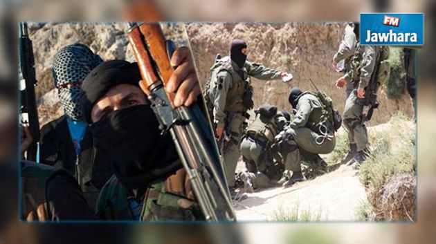 مقتل 4 إرهابيين في جبل السلوم