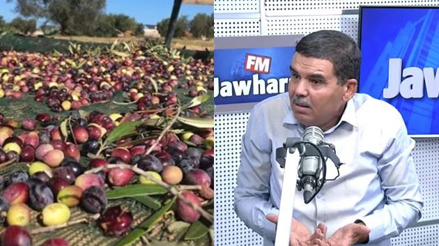 رئيس نقابة الفلاّحين: 'ندعو رئيس الجمهورية للتدخّل العاجل لإنقاذ موسم الزيتون' (فيديو)