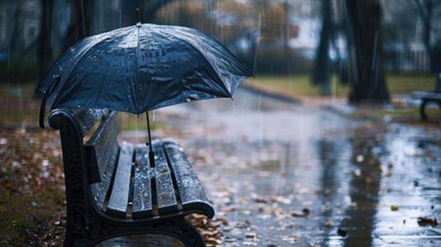 عامر بحبة: 'تقلّبات جويّة جديدة بداية من نهاية الأسبوع الحالي' (فيديو)