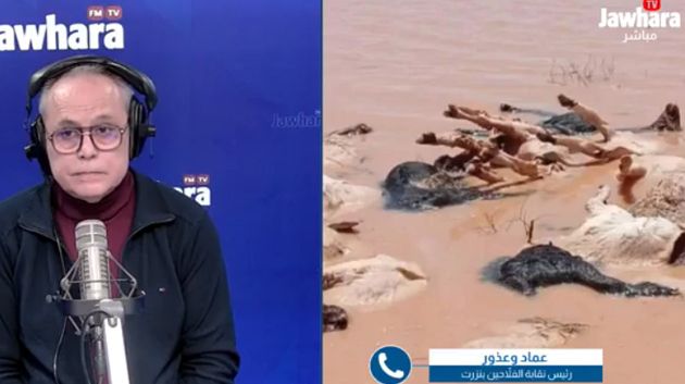 بنزرت: نفوق أكثر من 70 رأس غنم جرّاء السيول الجارفة