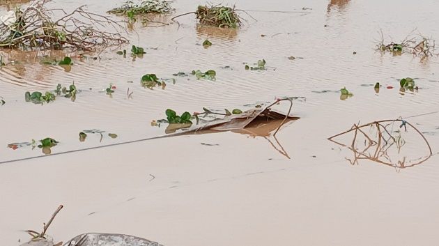 قربة : أضرار فادحة في ضيعات لزراعة الفراولة 