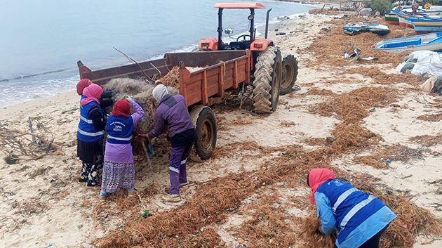 إطلاق برنامج استثنائيّ لتنظيف شواطىء بنزرت وسوسة ونابل وتونس