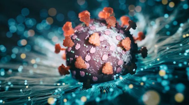 انتشر في الهند.. أعراض فيروس نيباه القاتل