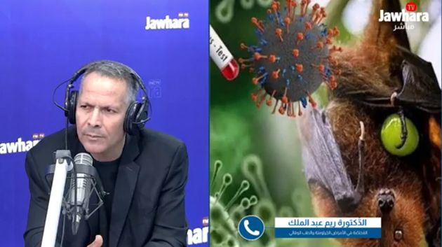 د.ريم عبد الملك: 'فيروس نيباه ليس جديدًا ولا يُشكّل تهديداً عالميّاً'