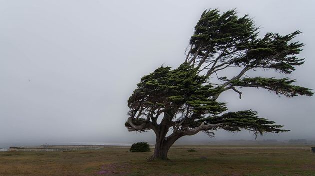 رياح قوية جدا و أمطار محليا غزيرة (نشرة متابعة)