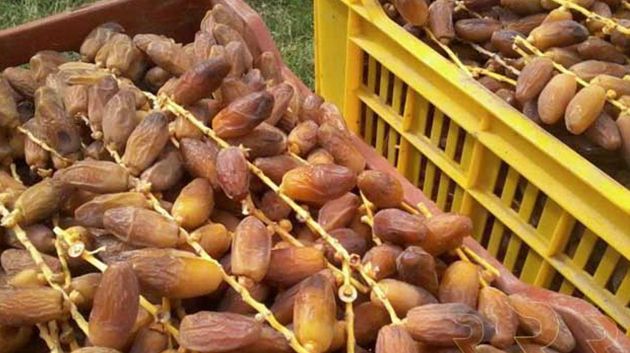 رمضان 2026: تركيز خيمتيْن لترويج التمور بولايتيْ تونس والمنستير 