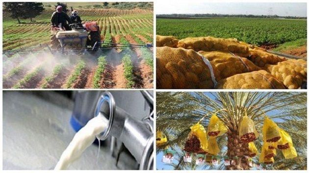 دولة عربية تحقق الاكتفاء الذاتي لأكثر من 48 منتجا 