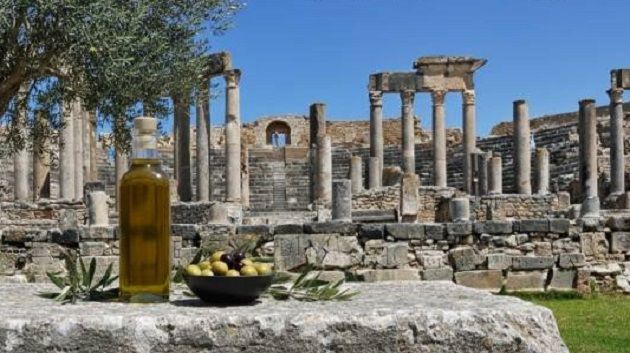 الموقع الأثري بدقة يستقطب العديد من السياح في يوم ترويجي لزيت زيتون 