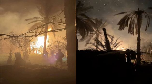 قابس.. اندلاع حريق بواحة شط السلام‎