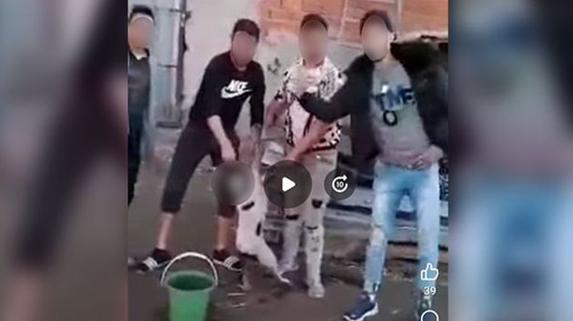 التنكيل الوحشي بكلب في المكنين: تفاصيل جديدة (فيديو)