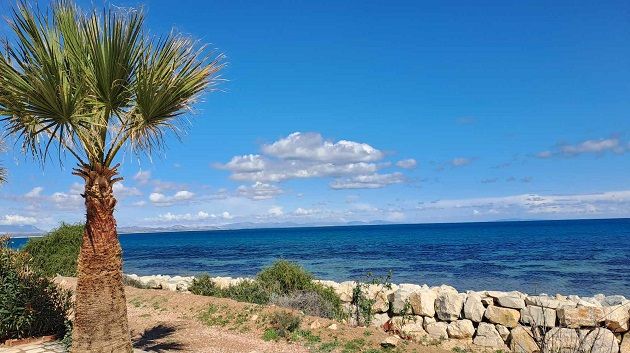 أجواء ربيعية في انتظار تقلبات جوية جديدة