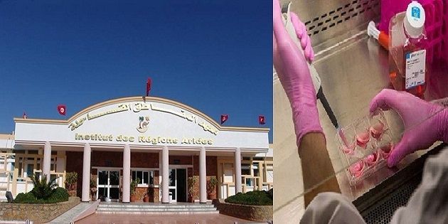 خمسينيّة معهد المناطق القاحلة بمدنين.. الحصول على نحو 20 براءة اختراع 