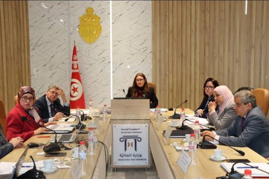 وزيرة الماليّة تؤكد أهمية العمل على استكمال مسار تطوير النّظام المحاسبي للدّولة 