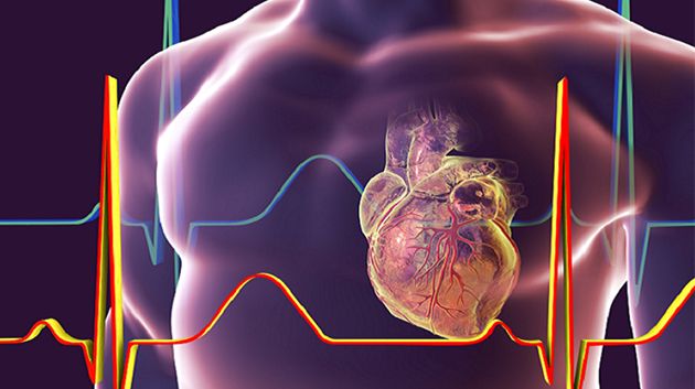ما العلاقة بين الإنفلونزا الشديدة وتلف القلب؟ دراسة طبية تكشف 